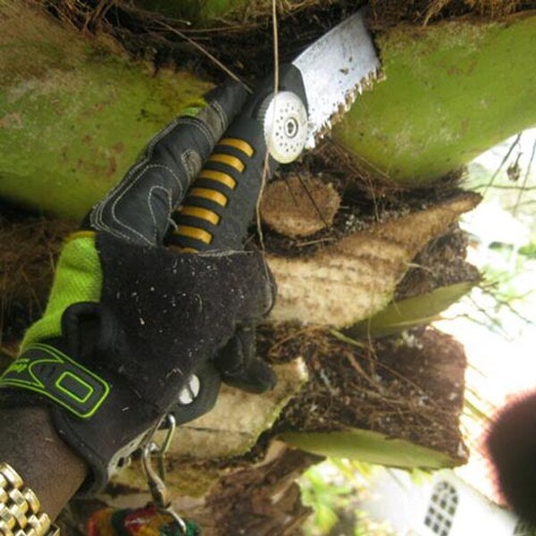 Silky Sugoi mm Arborist Hand 02